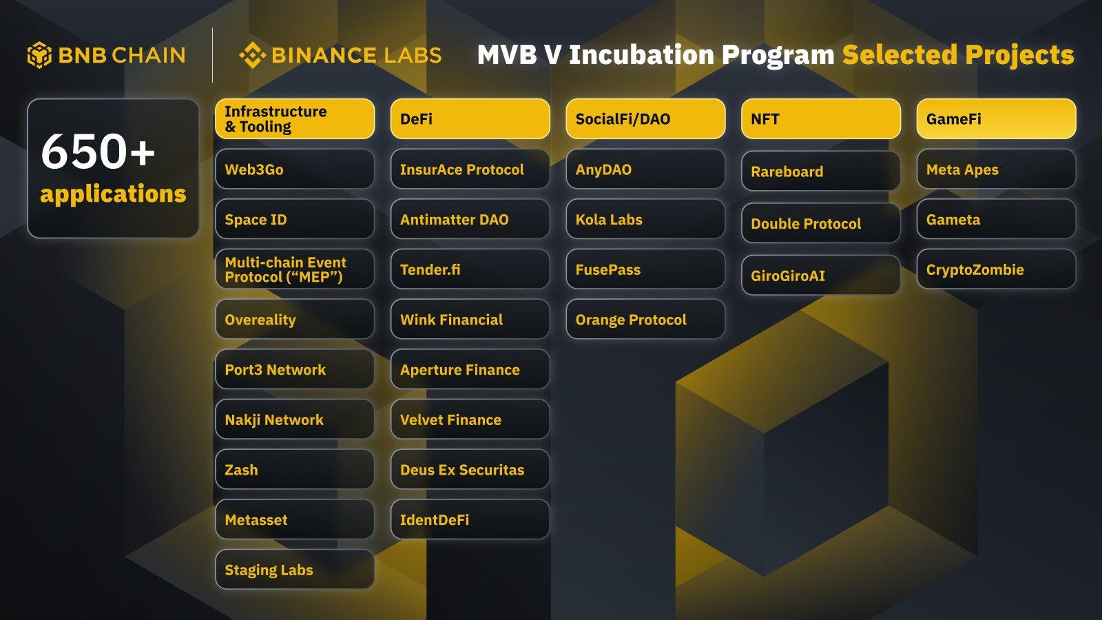 Official list of projects of the Binance MVB V program