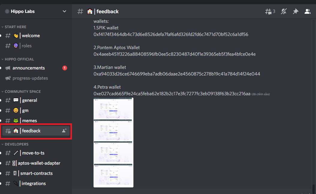 Kênh #feedback trong server Discord của dự án Hippo Labs