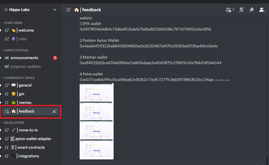 #feedback channel in Hippo Labs's Discord server 