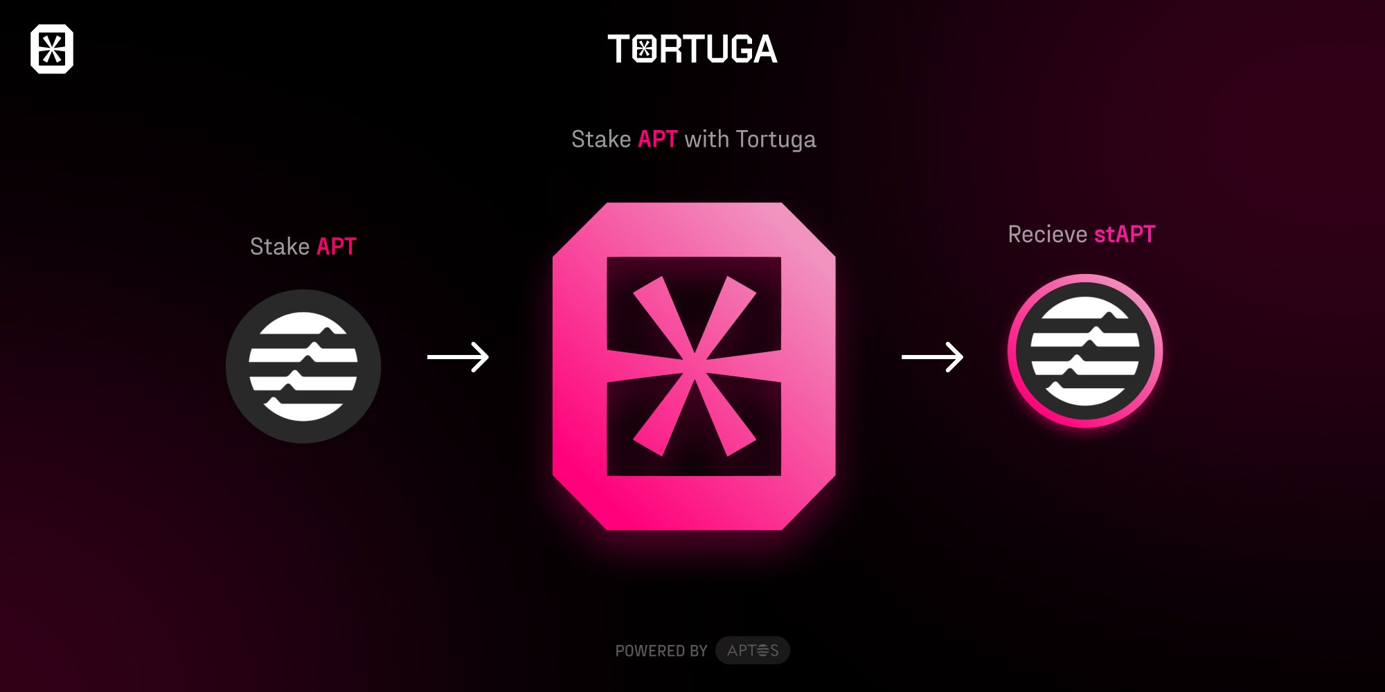 Cơ chế stake APT trên Tortuga