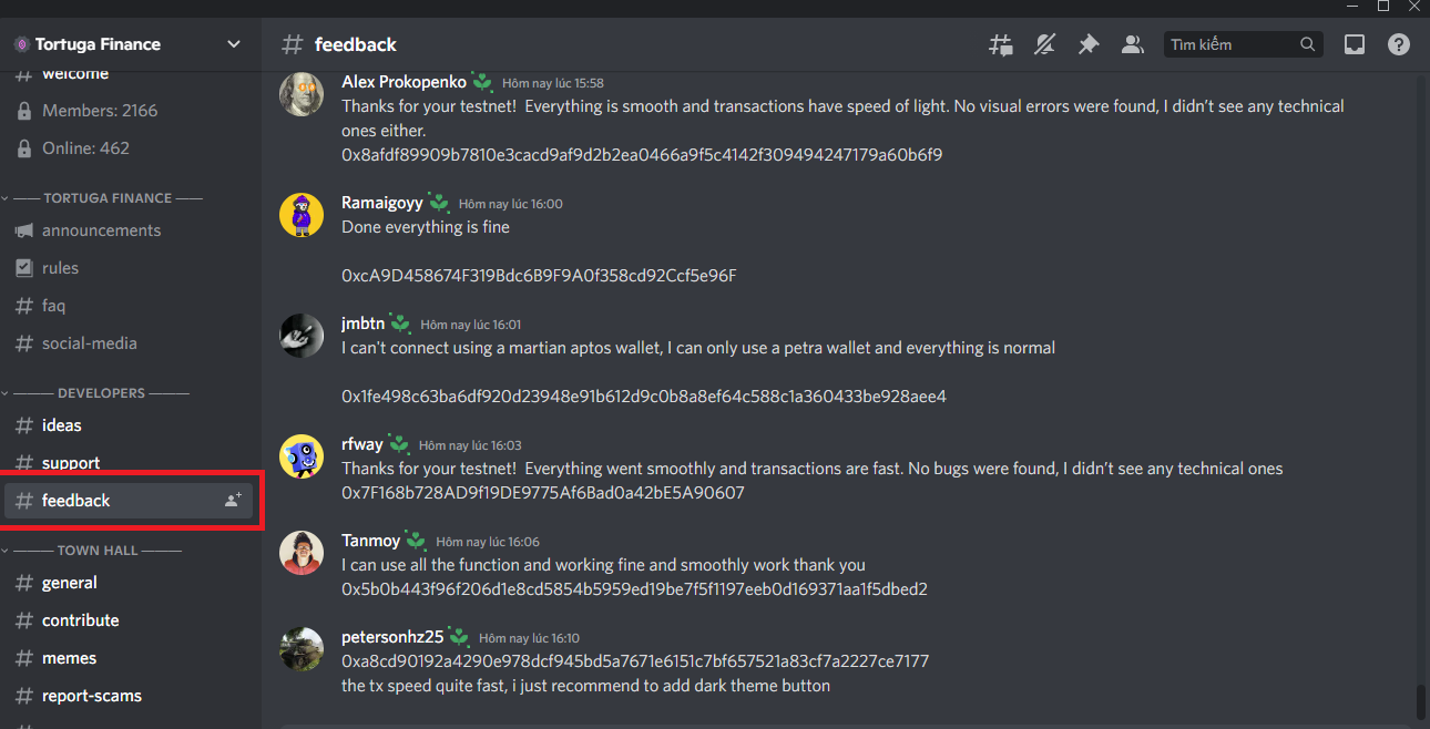 #feedback channel in Tortuga's Discord server