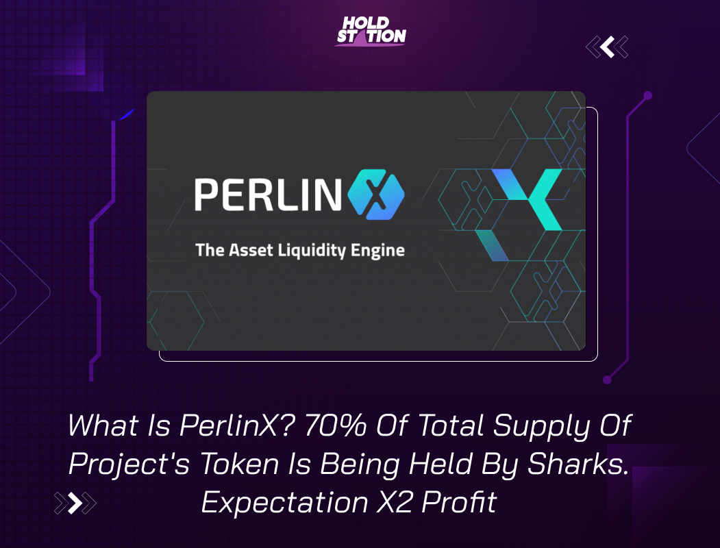 What Is PerlinX? 70% Of Total Supply Of Project's Token Is Being Held By Sharks. Expectation X2 Profit