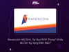 Ravencoin Hồi Sinh. Tại Sao RVN Pump Khỏe Và Còn Kỳ Vọng Đến Đâu?