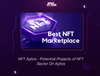 NFT Aptos - Potential Projects of NFT Sector On Aptos