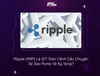 Ripple (XRP) Là Gì? Toàn Cảnh Câu Chuyện Tại Sao Pump Và Kỳ Vọng?