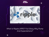 What Is Ripple (XRP)? Full Story Why Pump And Expectations?