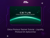 Cetus Protocol Testnet Tutorial - Liquidity Protocol On Aptos & Sui