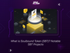 What is Soulbound Token (SBT)? Notable SBT Projects