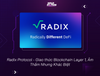 Radix Protocol - Giao thức Blockchain Layer 1, Âm Thầm Nhưng Khác Biệt