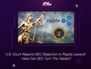 U.S. Court Rejects SEC Objection In Ripple Lawsuit - How Can SEC Turn The Tables?