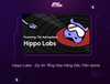 Hippo Labs - Dự Án Tổng Hợp Hàng Đầu Trên Aptos