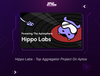 Hippo Labs - Top Aggregator Project On Aptos