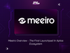 Meeiro Overview - The First Launchpad In Aptos Ecosystem