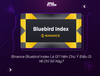 Binance Bluebird Index Là Gì? Nên Chú Ý Điều Gì Về Chỉ Số Này?