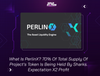 What Is PerlinX? 70% Of Total Supply Of Project's Token Is Being Held By Sharks. Expectation X2 Profit