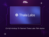 Cơ hội Airdrop Từ Testnet Thala Labs Trên Aptos