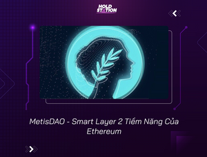 MetisDAO - Smart Layer 2 Tiềm Năng Của Ethereum